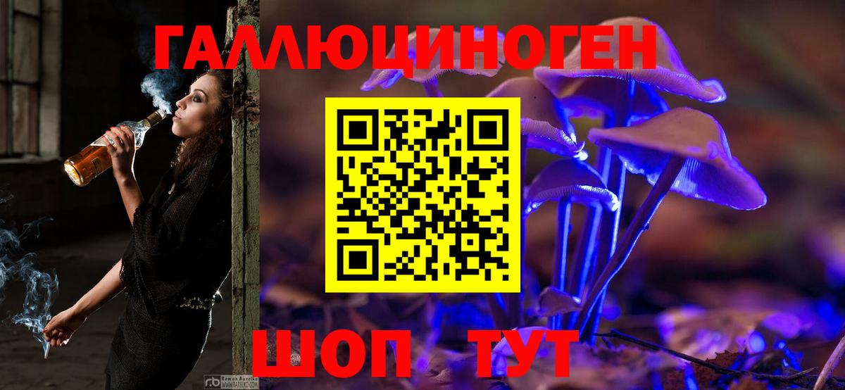 Псилоцибиновые грибы прущие грибы  Вход с VPN  Киселёвск 