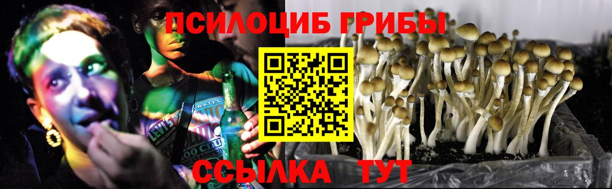 Галлюциногенные грибы прущие грибы Киселёвск